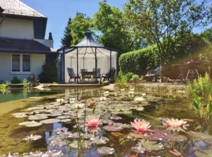 pavillon-rondo-vp-394-glaspavillon-teich